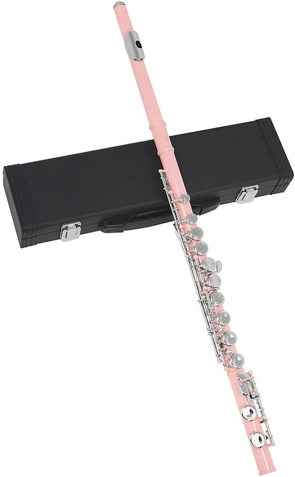 Flute Pink 16 Hole Flute with E Key Woodwind Closed Hole C Tune Nickel Silver Key White Brass Pipe with Box Flutes Musical Instruments