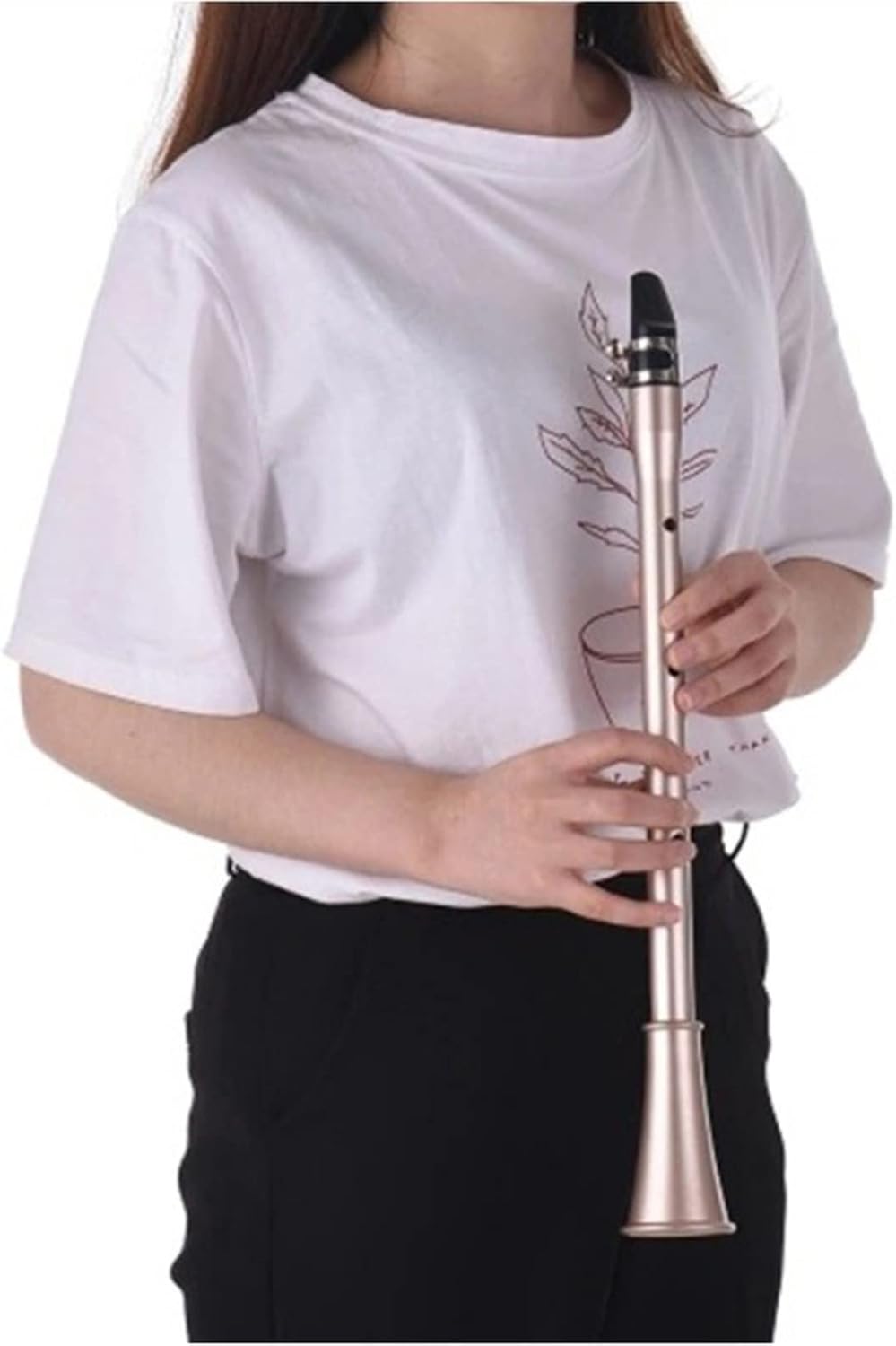 KESHUO Pocket Saxophone Mini Portable ABS Sax Key of C/D/Bb/E/F/EB with Carrying Bag Woodwind Instrument for Beginners Brass Sax Beginners Kit (Color : Bb)