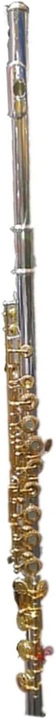 Professional Flute Instrument Silver Plated Solid 17 Hole Gold Key Professional Wind Instrument Flute