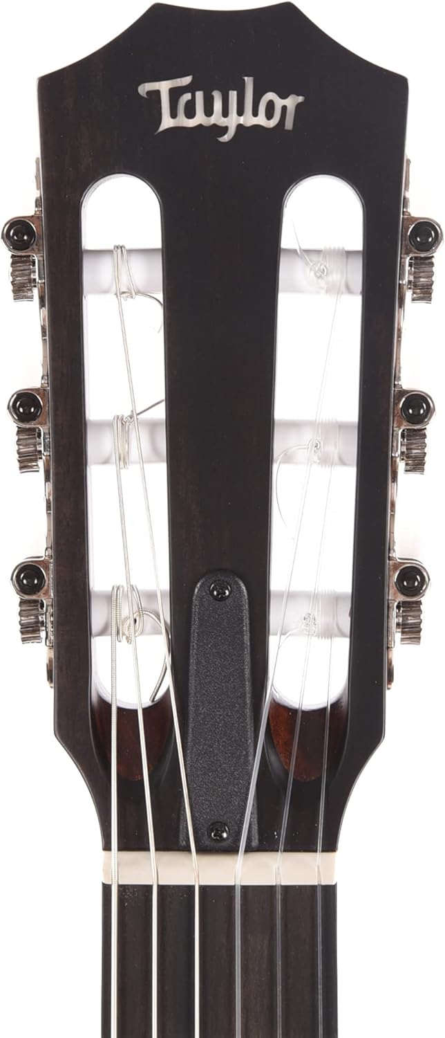 Taylor 314ce-N - Sapele Back and Sides