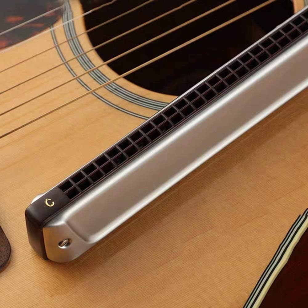 SUOFEILAIMU Harmonica Key C 24 Holes Harp Phosphor Bronze Reeds ABS Comb Musical Instruments Professional (Color : 2440 Key C)