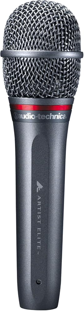 Audio-Technica AE6100 Hypercardioid Dynamic Handheld Microphone