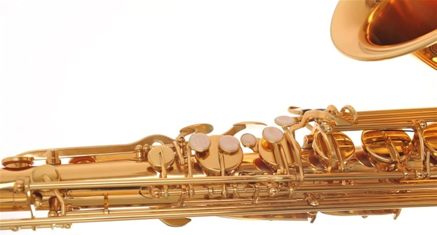 Professional Saxophone B Flat Tenor Saxophone/Wind Instrument Electrophoresis Golden Saxophone is Suitable for Beginner Bands Brass Sax Beginners Kit
