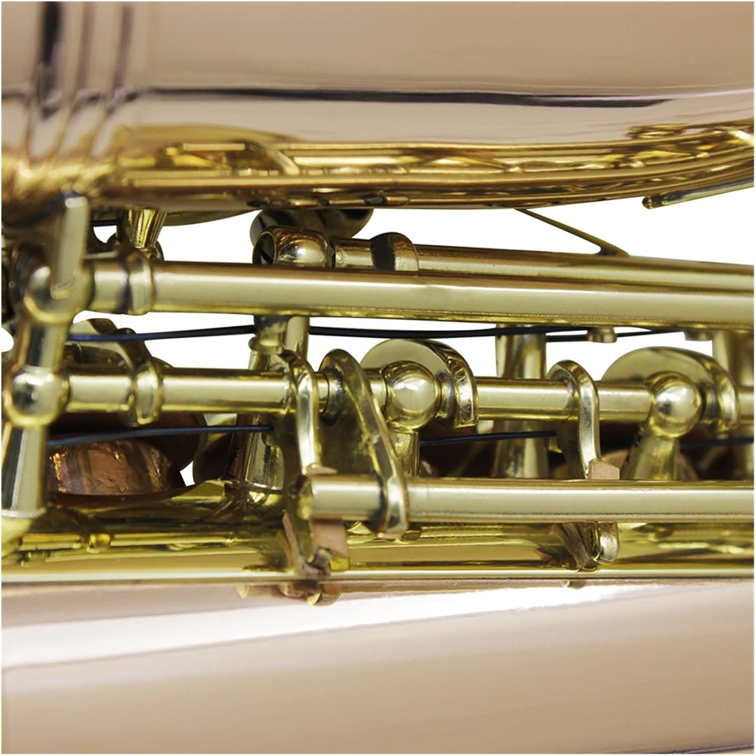 TSTS Saxophone Abalone Shell Buttons Mouthpiece Reeds Wind Instrument Accessories Brass Sax Full Kit