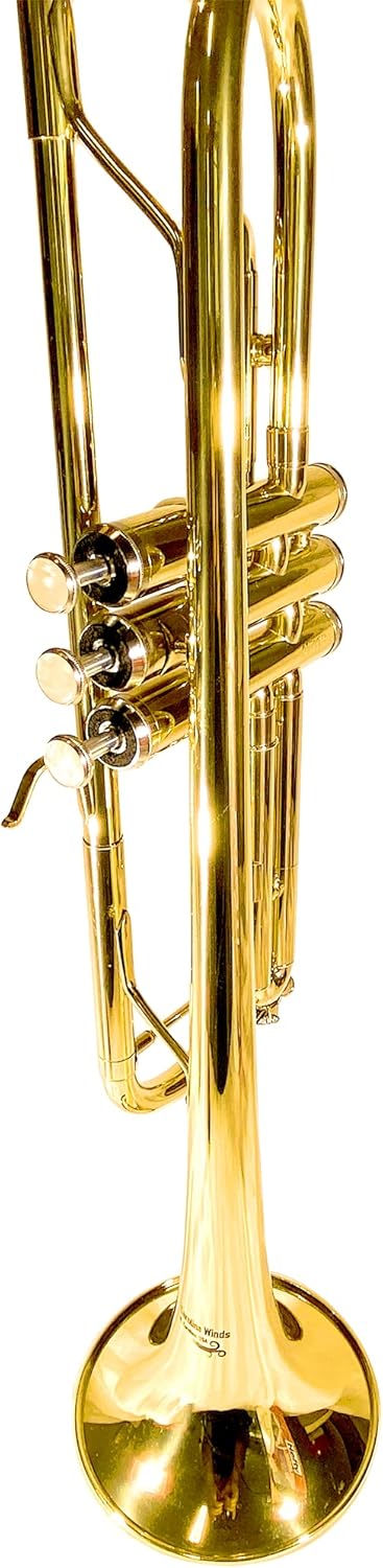 TEACHER APPROVED! Carolina Winds CW201TPT Premier Bb Trumpet