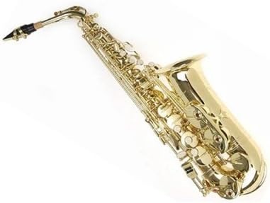 Sky Guarantee Quality Sound E Flat Gold Lacquer Alto Saxophone W High F# Key+Light Weight Case and Extra 10 Reeds (SKYALT101-G)