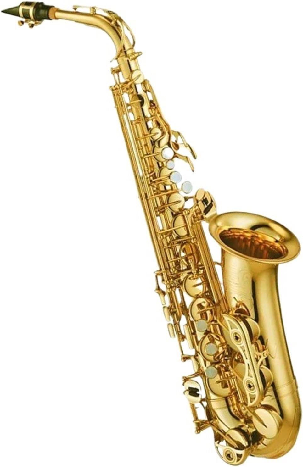 Woodwind Instruments Professional Alto Saxophone Gold Lacquer With Mouthpiece Reeds Neck Case