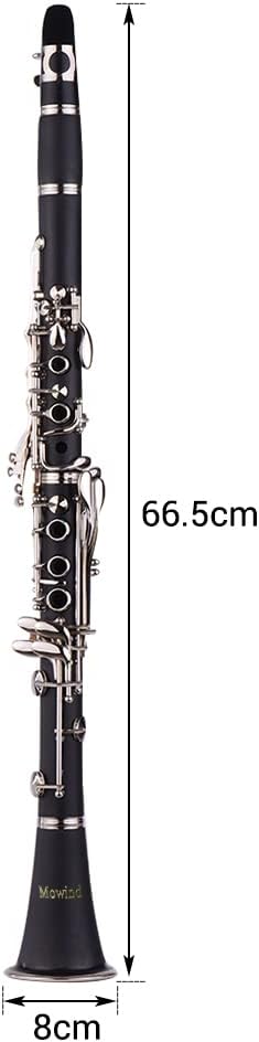 Bb Flat Clarinet - 17 Key Beginner Student Woodwind Instrument with 2 Barrels and Carry Case, Includes Cleaning Kit