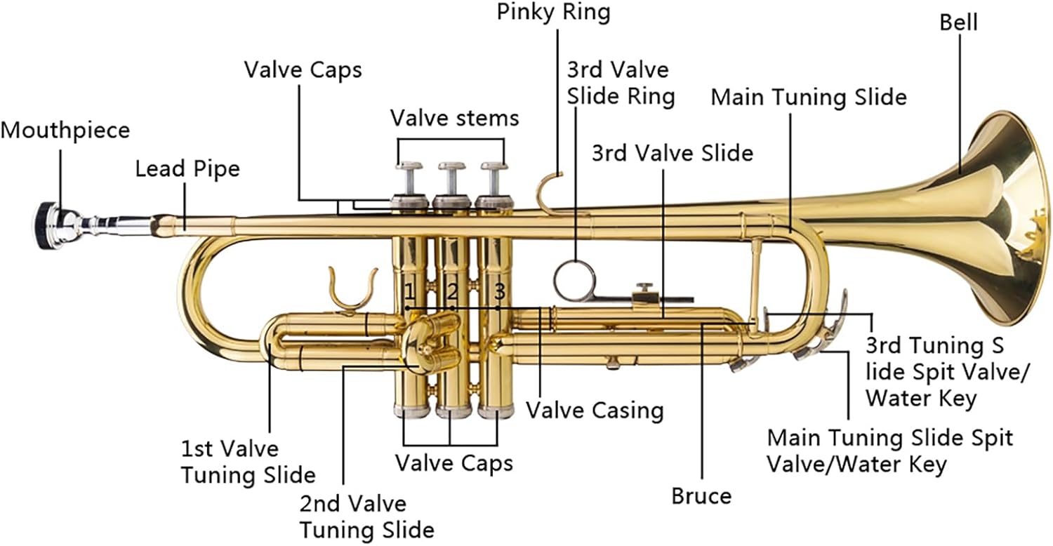 Standard Bb Trumpet Set for Beginners Drop B Tone Adjustable Trumpet Gloves Set Brass Trumpet Instrument with Carrying Case for Beginners or Advanced Students Golden