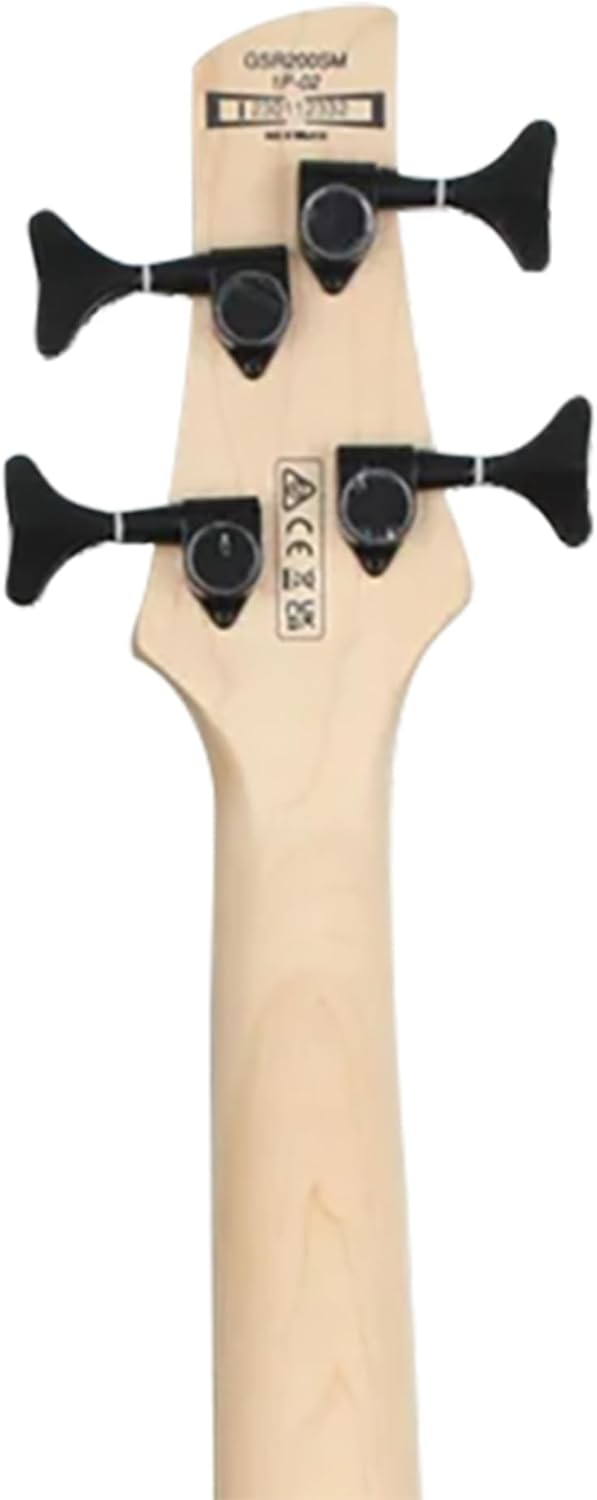 Ibanez GSR200SM SR GIO Electric Bass - Charcoal Brown Burst Bundle with Gig Bag, Strap, Cable, Austin Bazaar Instructional DVD, and Polishing Cloth