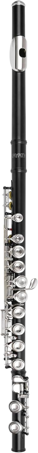 C Flute with Closed Hole 16 Keys, Suitable for Student and Beginner, Including Cleaning cloth, Carrying Case, Gloves and Tuning Rod. Nickel Plated Flute (Black)