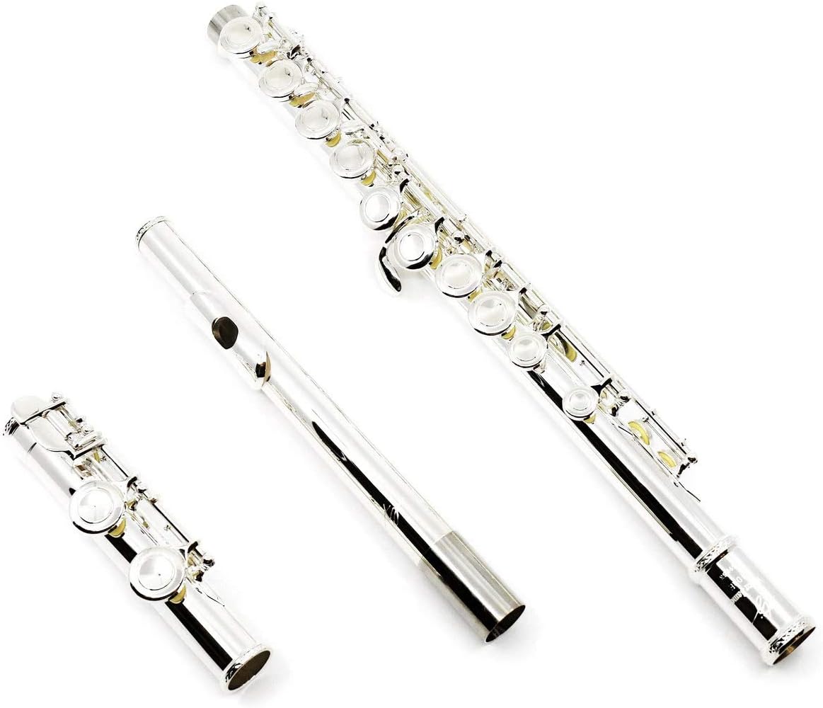 Trevor James Silver Flute Model 10XC - G Key, Closed Holes, Silver Finish