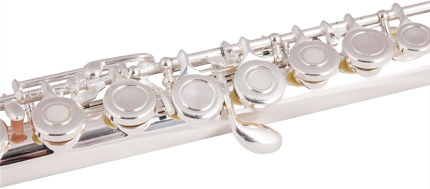 Flute Cupronickel Plated Silver 16 Holes C Key Woodwind Instrument with Gloves Padded Case Flutes (Color : 02)
