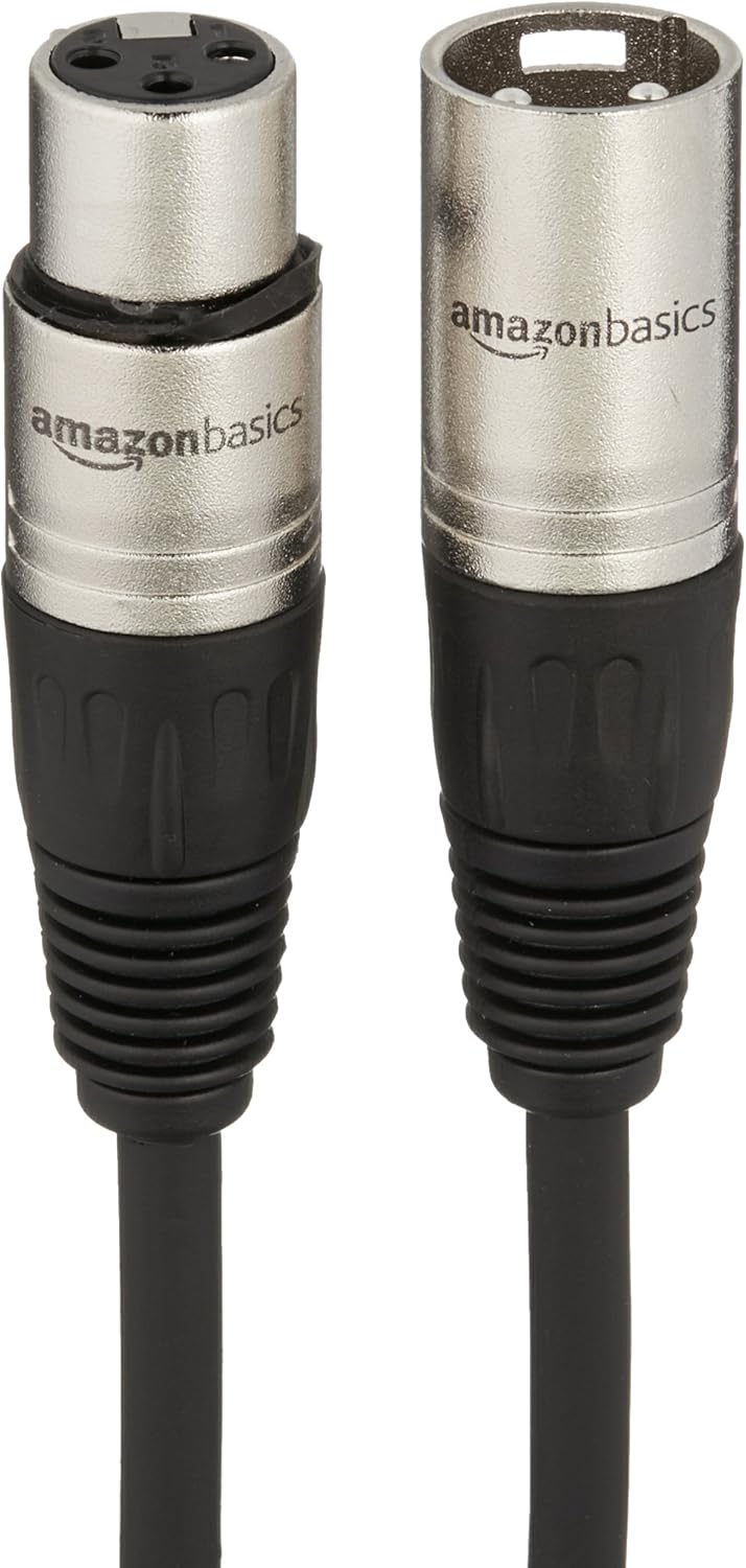 Roland VT-4 Vocal Transformer and Amazon Basics XLR Microphone Cable