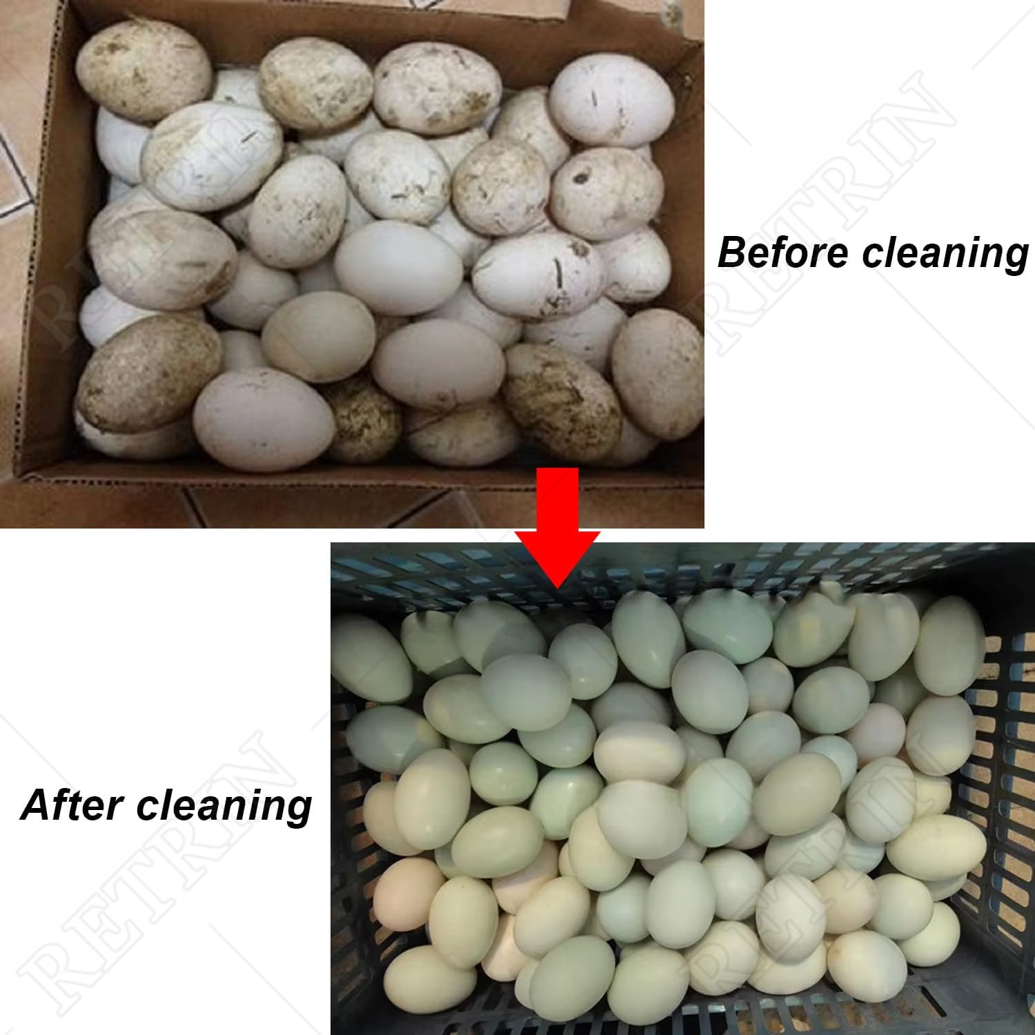 180W Electric Egg Washer Machine 2000Pcs/H, Automatic Egg Cleaning Tool for Fresh/Mud Eggs, Perfect for Farms Restaurants Bulk Cleaning