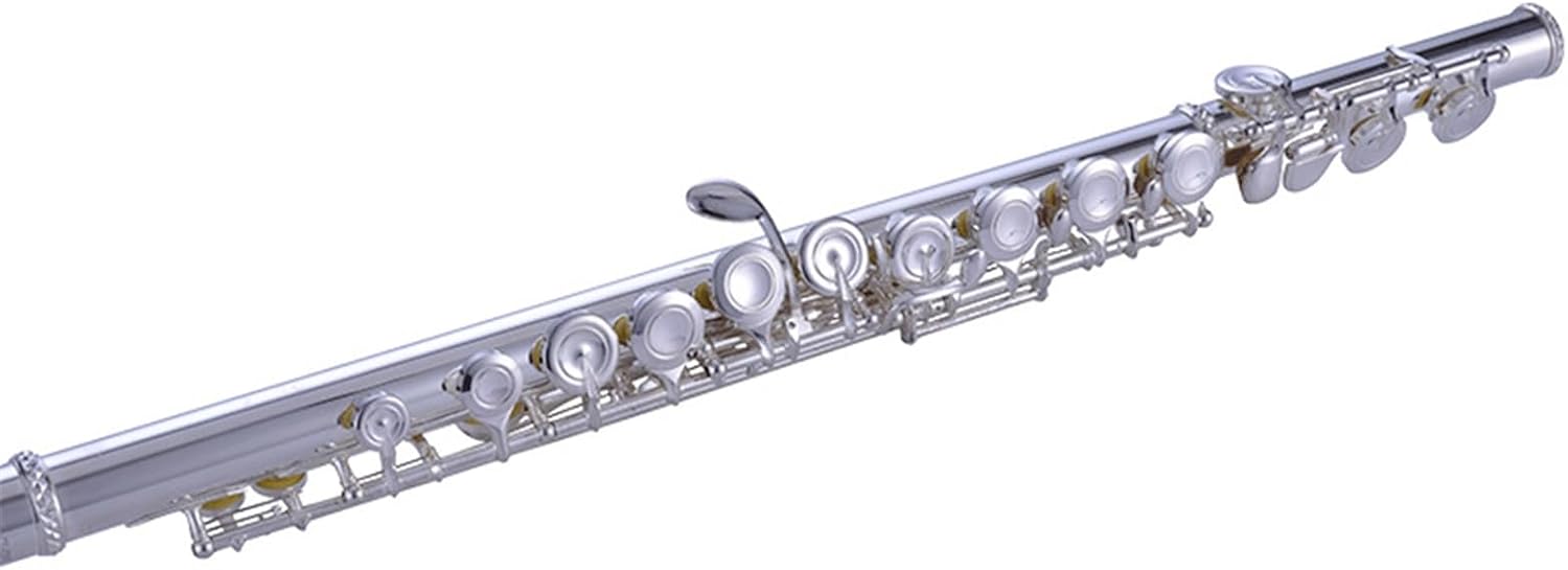 Flute Set Flute Wind Instrument White Copper Alloy Body C Key Silver Plated 16 Closed Hole French Keys
