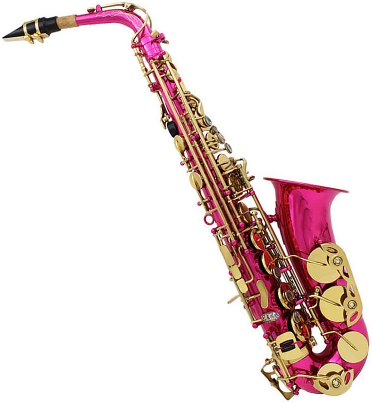 EB Alto Saxophone Carved Woodwind Instrument Abalone Shell Brass Sax with Parts
