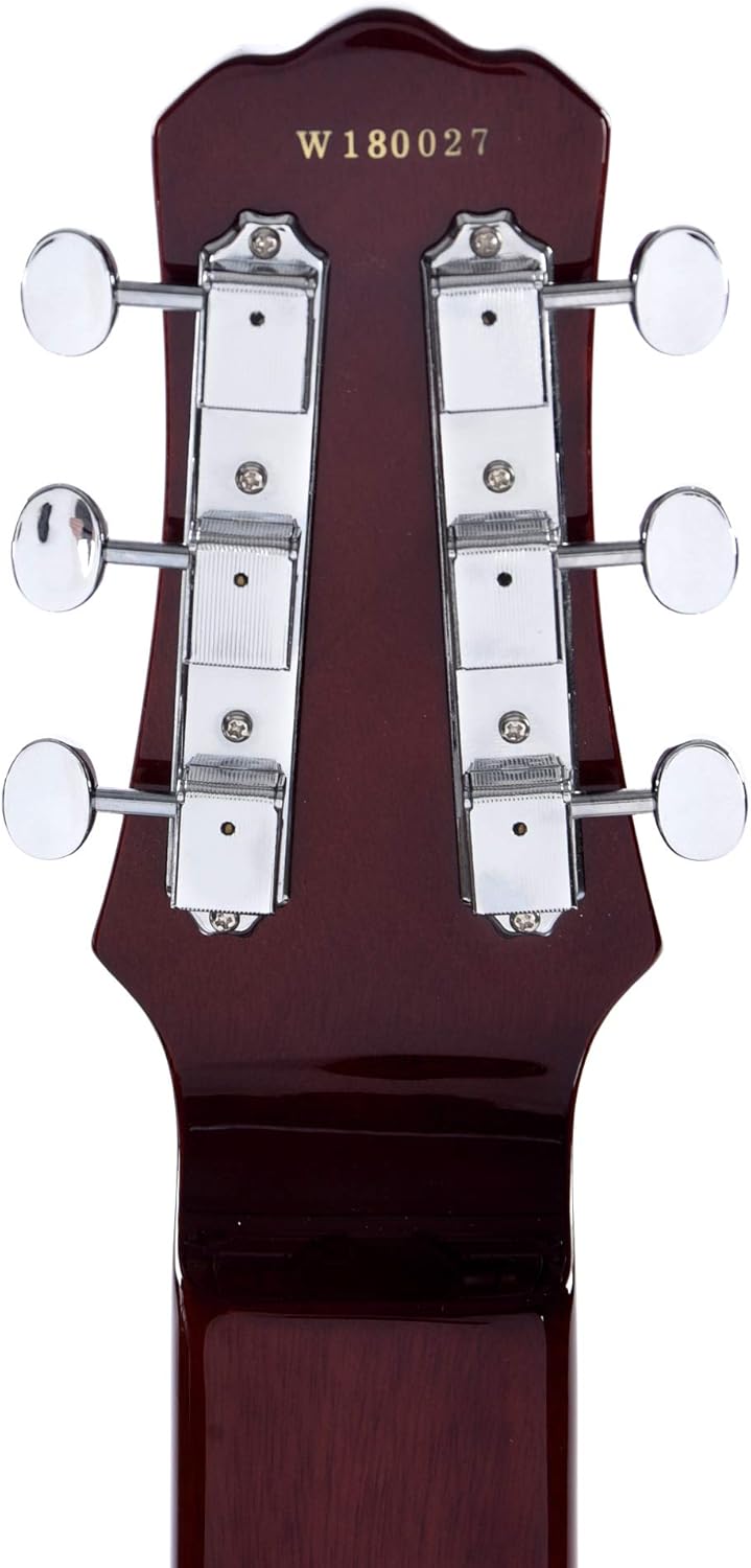 Asher Guitars Electro Hawaiian ® Junior Lap Steel Gold Top w/Gig Bag