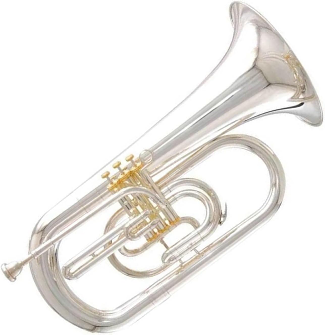 Professional instrument B flat marching euphonium