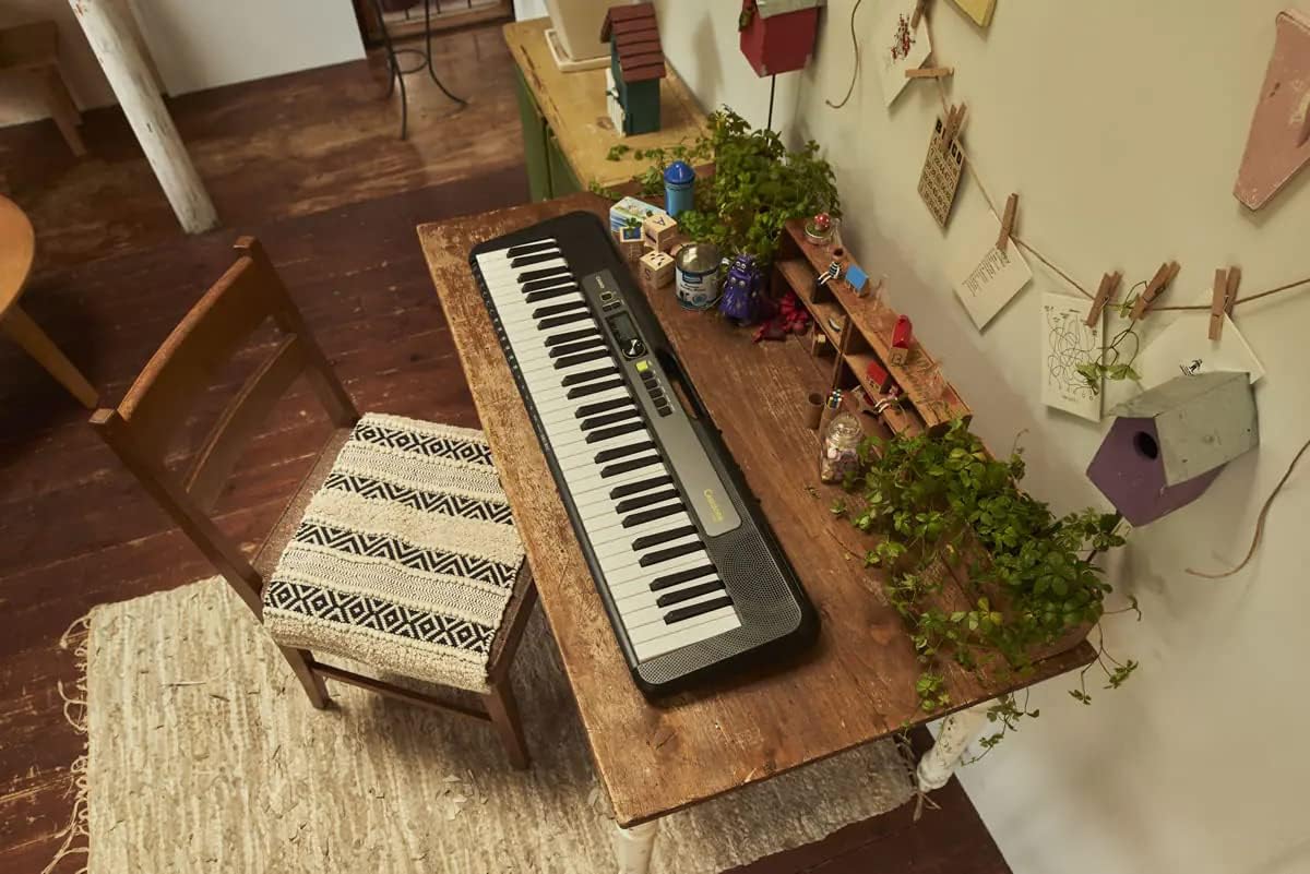 Casio LK-S250 Casiotone 61-Key Portable Lighted Key Keyboard Bundle with Adjustable Stand, Bench, Headphones, Sustain Pedal, Instructional DVD, and Austin Bazaar Polishing Cloth