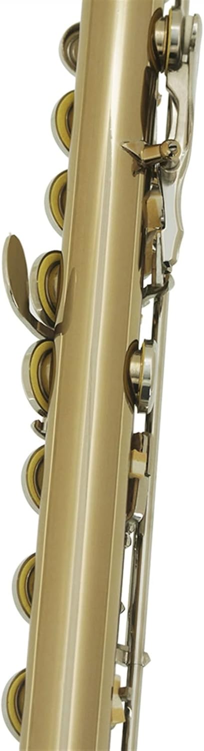 Flutes 16 Closed Holes C Key Golden Silver Flute with Box Gloves Woodwind Musical Instrument