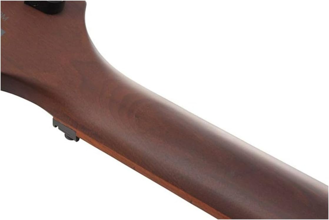 Ibanez Standard 6-String Electric Guitar (Right-Handed, Natural Flat)