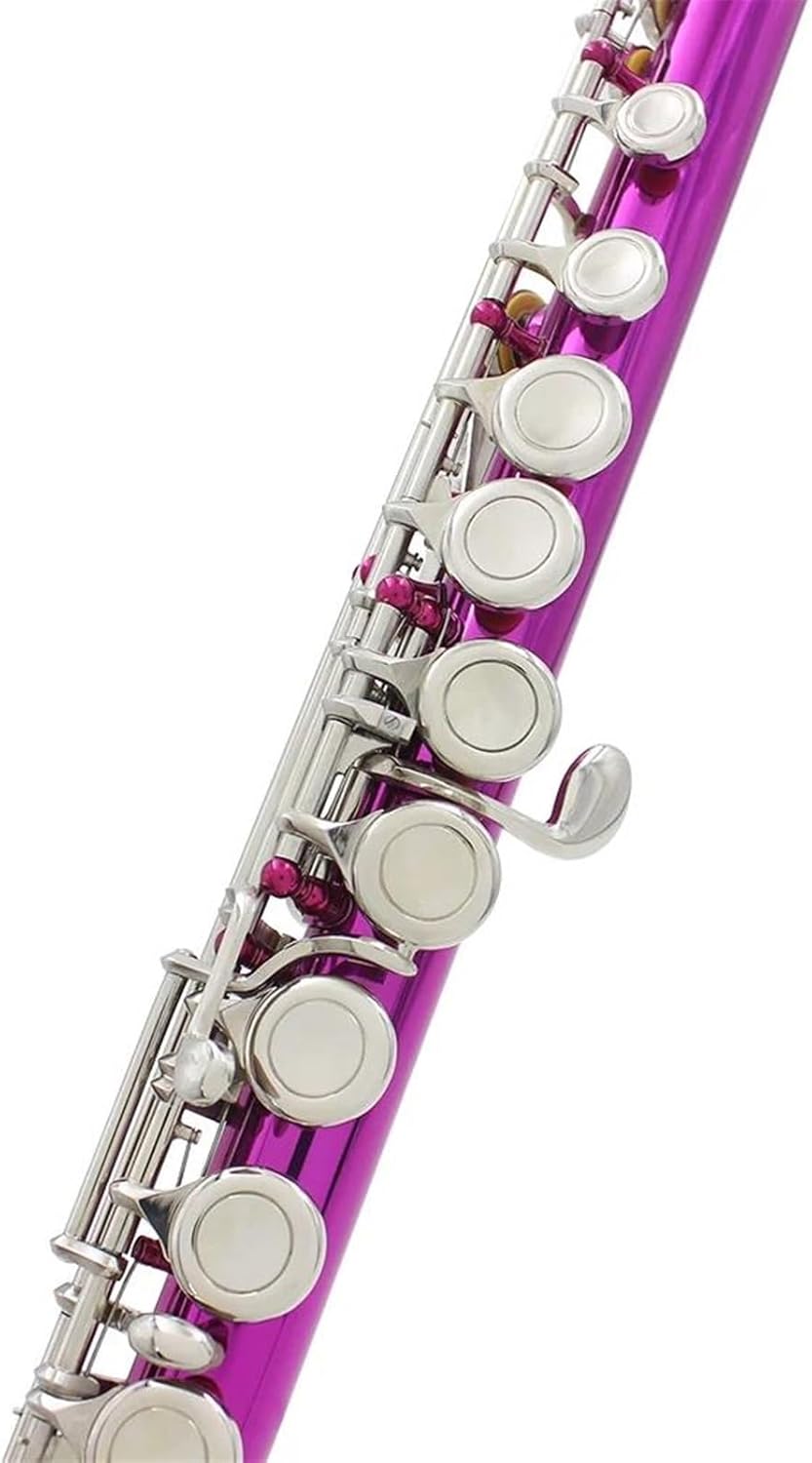 VBDEFRT Horizontal Blow 16 Hole Flute Woodwind Instrument C Brass Flute With Leather Box Musical Instrument Accessories