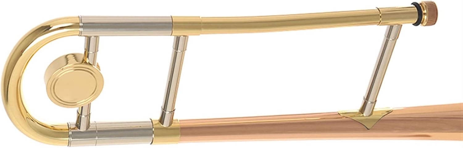 TSTS B Flat Tenor Trombone Phosphor Bronze Material is Suitable for Beginners to Test The Level of Professional Performance Beginner Trombone