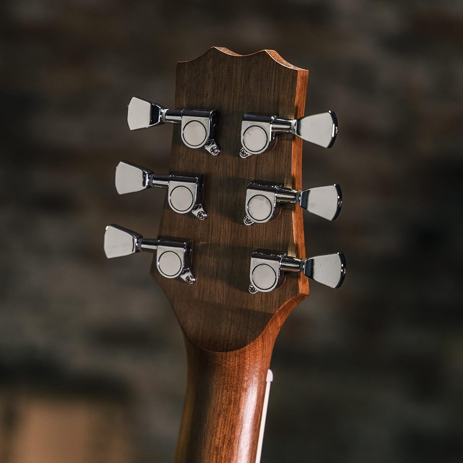 Peavey Delta Woods™ DW-2™ Solid Top Dreadnought Acoustic Guitar