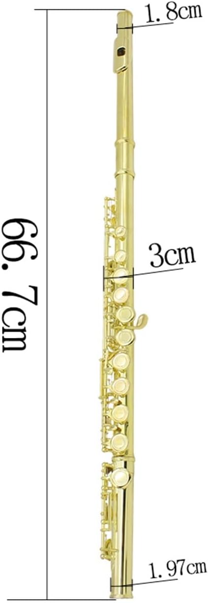 Flute Golden 16 Holes C Tone Flute with E Key Woodwind Instrument Closed Hole Gold-Plated Keys Cupronickel Tube with Case Flutes Musical Instruments