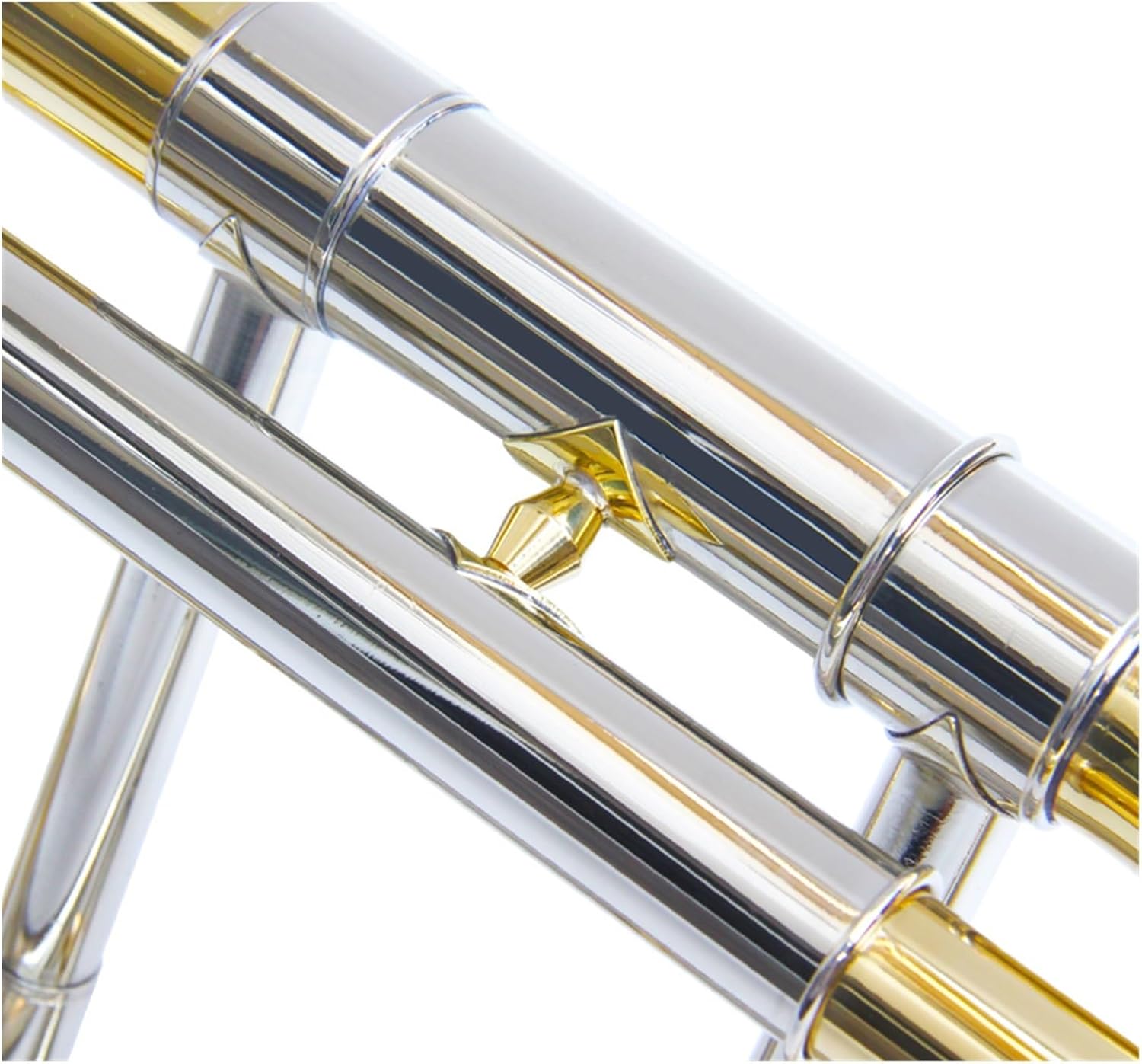 Adult Trombone Instrument Tenor Trombone Flat Brass Instrument Performance Practice Professional