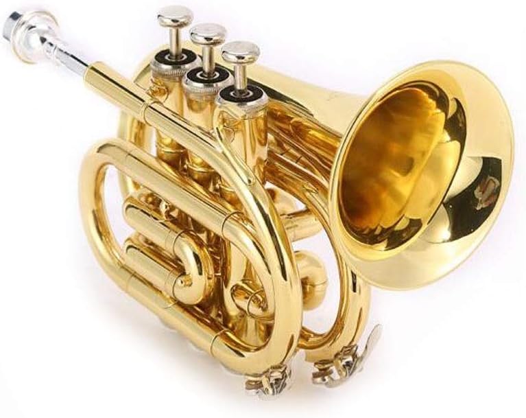 Intermediate Trumpet Trumpet Portable B Flat Mini Corona Wind Instrument Beginners Playing Professional Grade Trumpet Instrument Tone Better