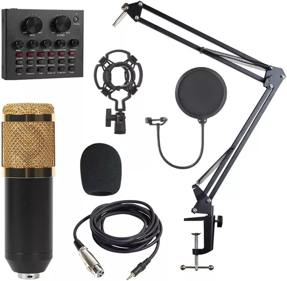 Microphone Bm800 Recording Studio Condenser Microphone is Suitable for Radio Broadcasting Singing Recording Computer,: White Gold Pack 2 V8-BM800