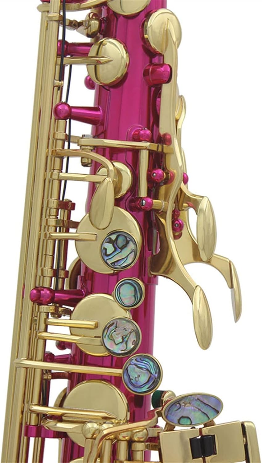 EB Alto Saxophone Carved Woodwind Instrument Abalone Shell Brass Sax with Parts