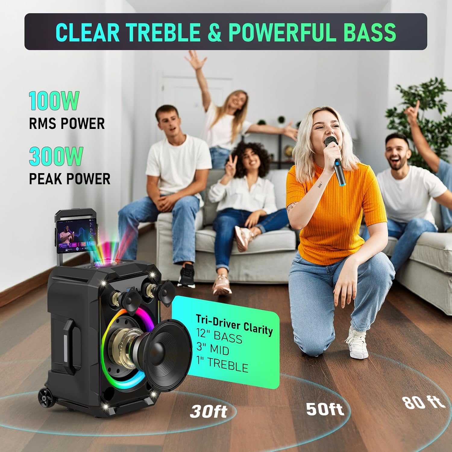 Portable Karaoke Machine for Adults, 12