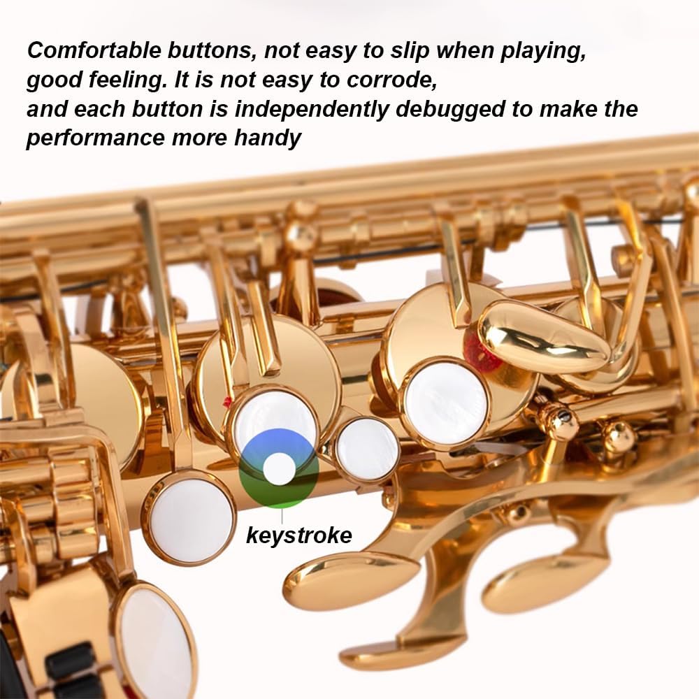 Saxophone, Beginners E-Flat, Alto Saxophone, Beginner/Professional/Performance/Examination, Including Instrument Storage Bag