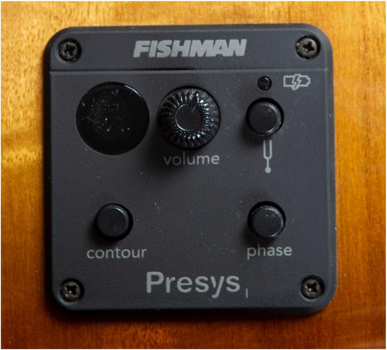 Breedlove Pursuit Exotic S Concert 6-String Myrtlewood Wood Top Acoustic Electric Guitar with Slim Neck and Pinless Bridge (Right-Handed, Amber)