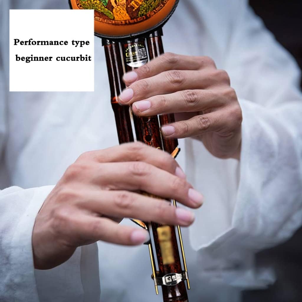 Flutes Musical Instruments Cucurbit Hulusi for Beginners Talent Training Musical Instrument Chinese Traditional Instrument with Chinese Knot and Box (Color : Brown, Size : D-Key)