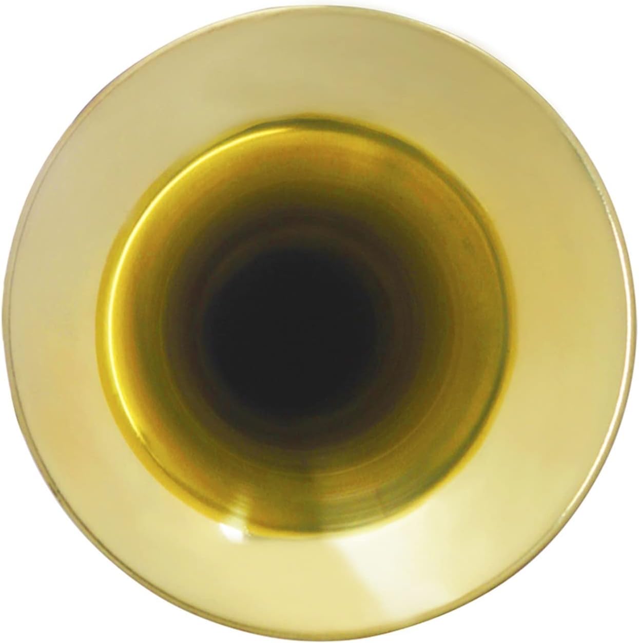 TSTS Metal Trumpet Professional Brass Instrument Horn Bugle for Musical Gifts Beginner Military Orchestra Bugle Trumpet (Color : 01)