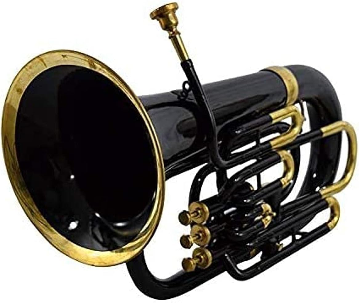 Nasir Ali Bb Euphonium Black 4 Valve