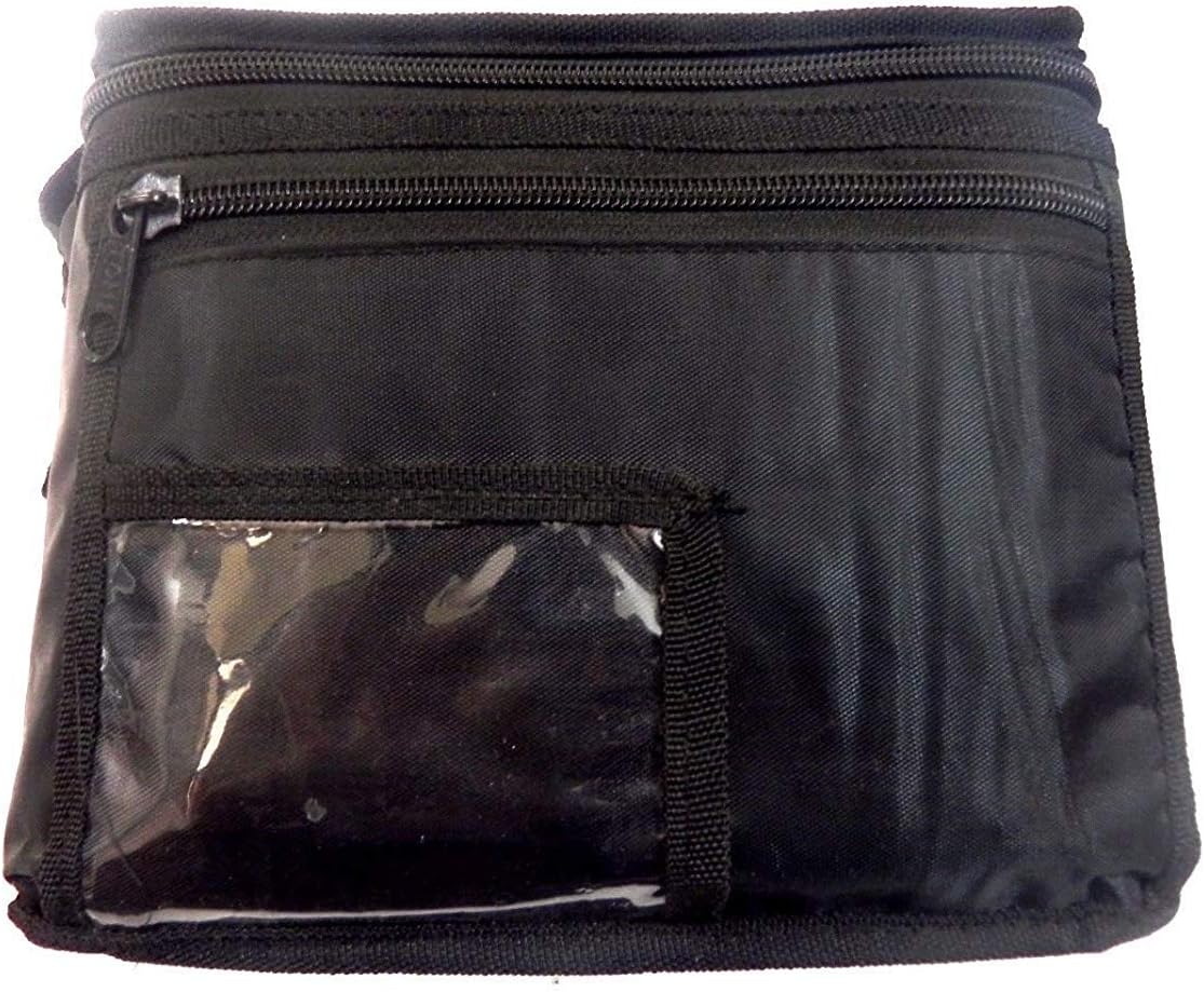 NEW-RAAGINI DIGITAL ELECTRONIC ~ TANPURA TAMBORA PLAY WITH TABLA ~ ESRAJ ~ SITAR