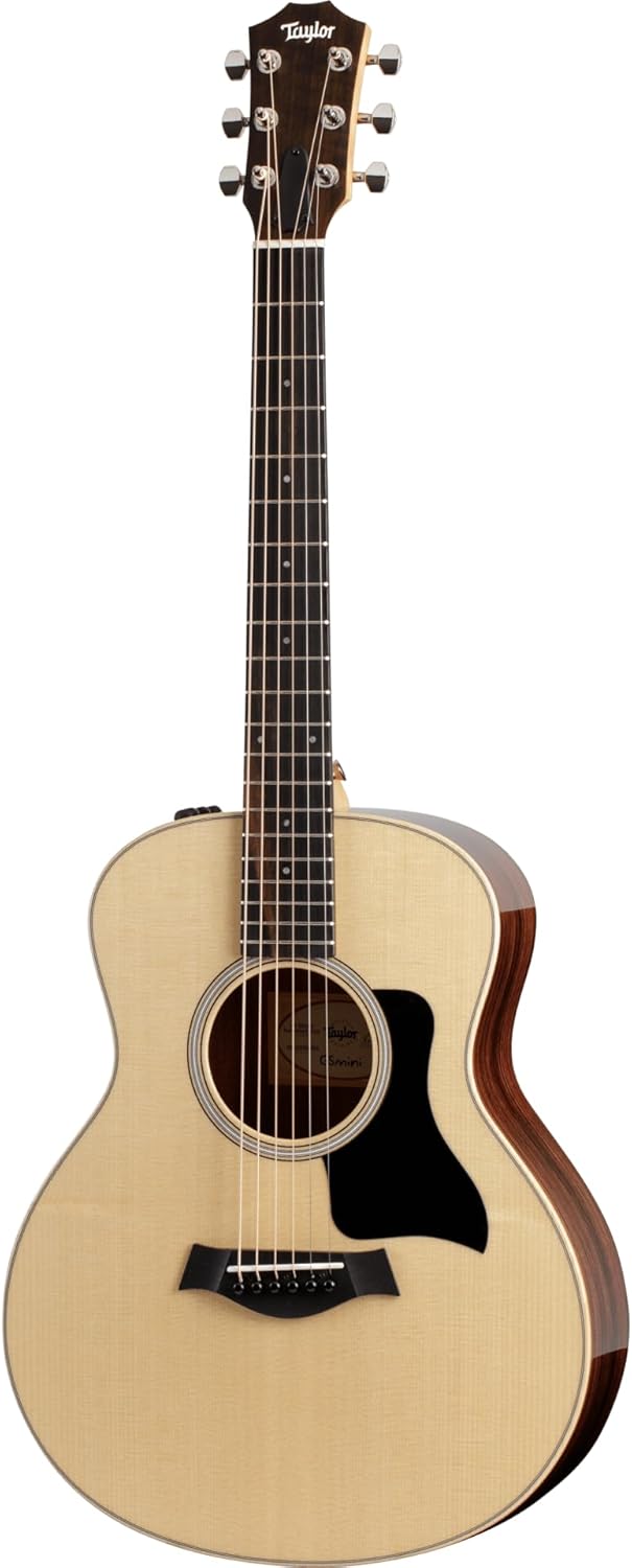 Taylor GS Mini-e Rosewood Plus