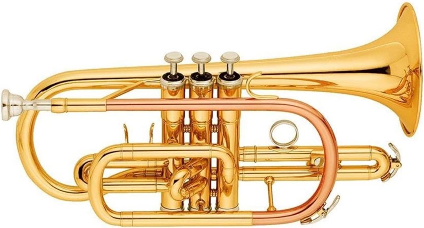 FLFL Student Trumpet Brass Body Gold Lacquer Phosphor Copper Leadpipe Bb Cornet