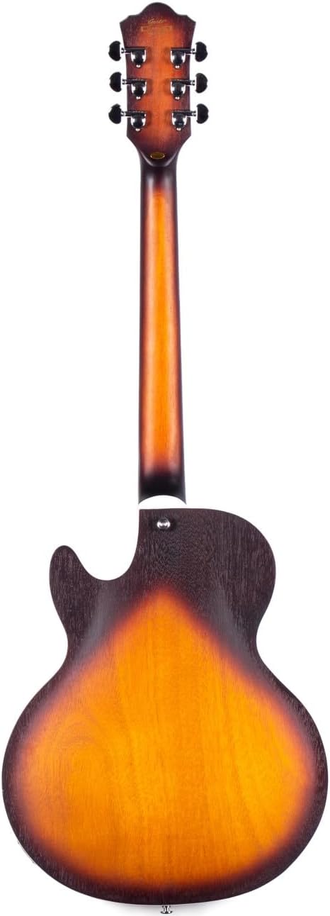 LPF Semi-Hollow Body Electric Guitar,Matte Finish, Humbucker Pickups, mahogany Wood Body, mahogany Neck, Rosewood Fretboard, 6 Strings, Includes Guitarbag(GTLPF-02-black VS)