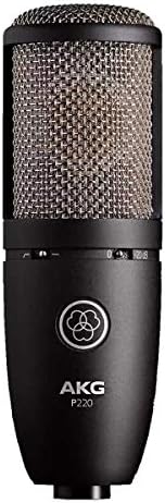 AKG P220 Perception 220 Professional Studio Microphone