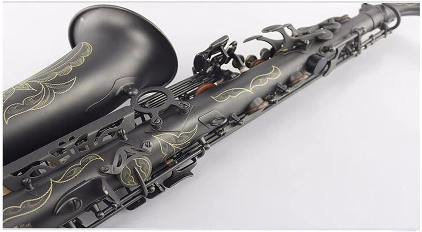 Sax Beginners Kit Professional Musical Instruments Alto Saxophone E Flat Matte Black Nickel Plated Surface Sax for Students Wind Instrument