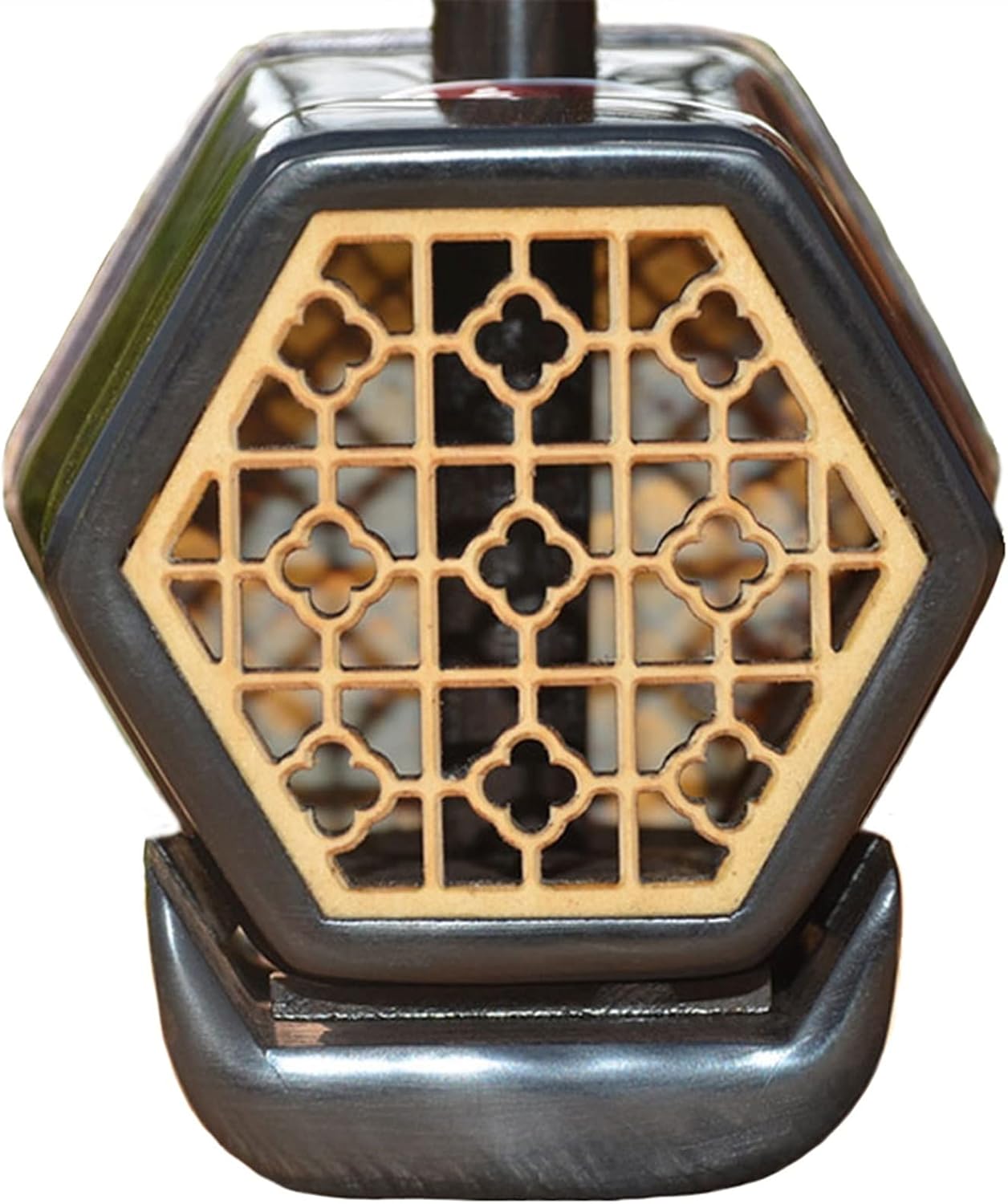 TSTS Chinese Erhu Rosewood Professional Musical Stringed Instruments Erhu Instrument