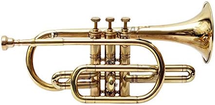 Brass Cornet Finish B Flat Great Look & Sound With Case Mp Gold shry039
