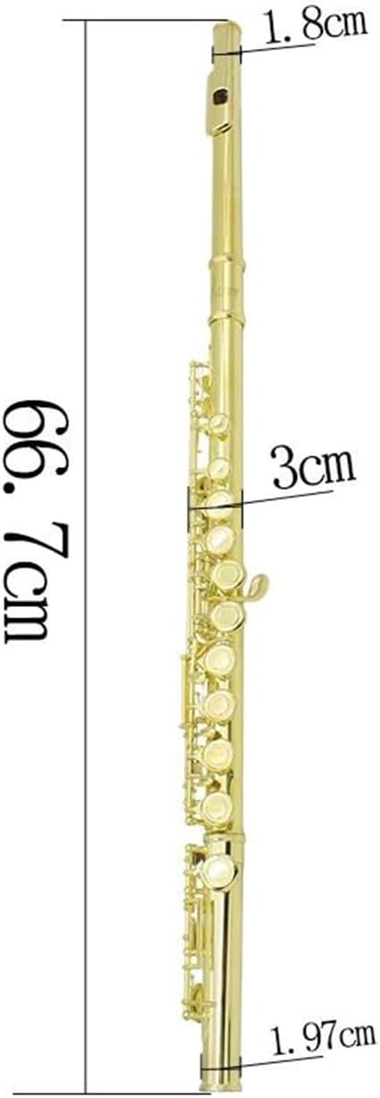 Golden 16 Holes C Tone Flute With E Key Woodwind Instrument Closed Hole Gold-plated Keys Cupronickel Tube