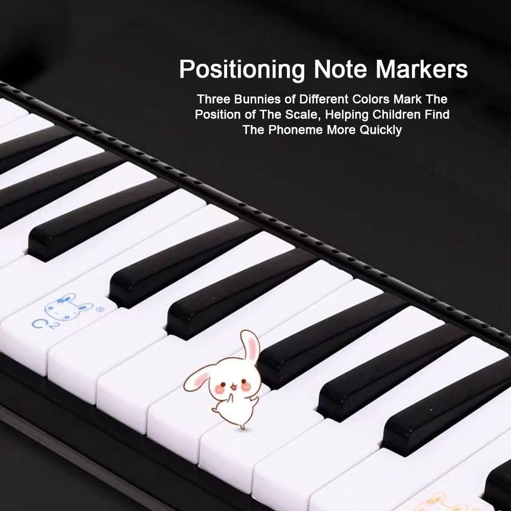 Melodica, 41 Key Wide Range Piano Keyboard Wind Musical Instrument for Professional Performance Classroom Teaching Beginners Adults Gift